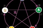五行与职业 (五行与职业对应)