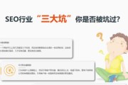 seo案例剖析 (分析seo)