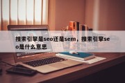 搜索引擎是seo还是sem，搜索引擎seo是什么意思