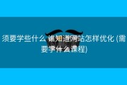 须要学些什么 谁知道网站怎样优化 (需要学什么课程)