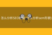 怎么分析SEO数据 (怎么分析sem形貌)