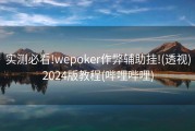 实测必看!wepoker作弊辅助挂!(透视)2024版教程(哔哩哔哩)