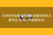 生物质热裂解生物质热裂解原理和主要特征 (生物质热裂解技术)
