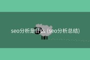 seo分析是什么 (seo分析总结)
