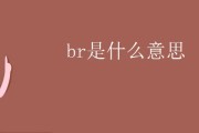 br e中文是什么意思 (bre中文是什么意思)