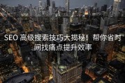 SEO 高级搜索技巧大揭秘！帮你省时间找痛点提升效率