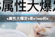 浅谈什么是SEO中的蜘蛛池及作用弊病 (浅谈什么是事物)