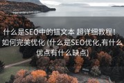 什么是SEO中的锚文本 超详细教程！ 如何完美优化 (什么是SEO优化,有什么优点有什么缺点)