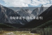 隐秘承诺书 (隐私承诺书)