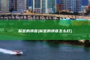 标签的拼音 (标签的拼音怎么打)