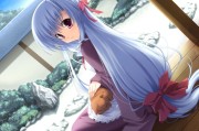 动漫中十大妹控哥哥盘点：从吸血鬼骑士到魔卡少女樱的深情守护