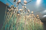 纪念马可·波罗逝世700周年：威尼斯双年展风造就了天空项目在杭州启动