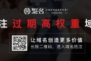 CRAZYSEO创始人张新星：跟我学SEO从入门到精通