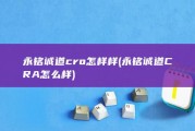永铭诚道cro怎样样 (永铭诚道CRA怎么样)