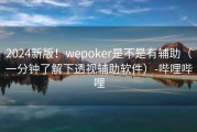 2024新版！wepoker是不是有辅助（一分钟了解下透视辅助软件）-哔哩哔哩