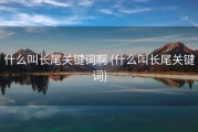 什么叫长尾关键词啊 (什么叫长尾关键词)