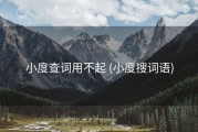 小度查词用不起 (小度搜词语)