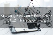 SEO Google 网站URL结构特点及优化 URL是什么 (seogoon小姐姐)
