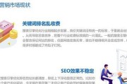 百度竞价和SEO哪个推行成果好 (百度竞价和seo的区别)