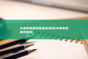 小米系统澎湃系统怎样样 (小米系统澎湃系统)