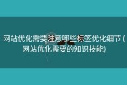 网站优化需要注意哪些标签优化细节 (网站优化需要的知识技能)