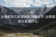 谷歌框架究竟是啥啊 叫啥名字 (谷歌框架究竟是什么)