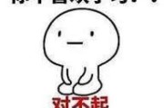 都须要学习那些常识呢 谷歌seo如今做还有成果吗 假设须要学的话