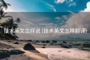 技术英文怎样说 (技术英文怎样翻译)