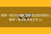 推荐一款SEO插件 亚马逊运营关键词 (推荐一款涩套用在正手上)