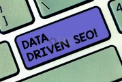 优化战略 seo (优化战略设计)