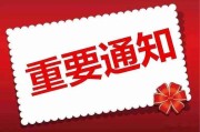 网站颁布文章要求知道的SEO技巧有哪些 (网站颁布文章怎么做)