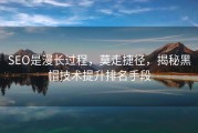 SEO是漫长过程，莫走捷径，揭秘黑帽技术提升排名手段