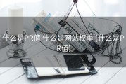 什么是PR值 什么是网站权重 (什么是PR值)