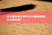 什么是长尾主要词 SEO基础教程 (什么叫长尾)