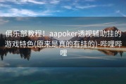 俱乐部教程！aapoker透视辅助挂的游戏特色(原来是真的有挂的)-哔哩哔哩