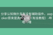 分享认知微扑克有没有辅助插件，aapoker原来是真的有挂（有挂教程）-哔哩哔哩