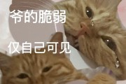 请高人具体解答 链接有没有alt属性 假设有作用是什么 对SEO的作用 (请教高人)