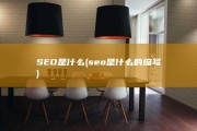 SEO是什么 (seo是什么的缩写)