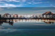 什么是算法 算法在哪些畛域有着运行 (什么是算法算法的特征是什么)
