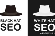 黑帽seo罕用的手腕有哪些 (黑帽论坛seo的详细情况)