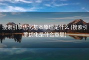 搜索引擎优化基本原理是什么 (搜索引擎优化是什么意思)