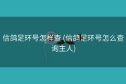 信鸽足环号怎样查 (信鸽足环号怎么查询主人)