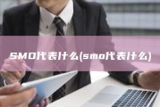 SMO 代表什么 (smo代表什么)