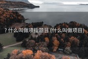 ? 什么叫做项指题目 (什么叫做项目)