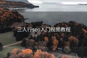 三人行seo入门视频教程
