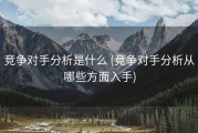 竞争对手分析是什么 (竞争对手分析从哪些方面入手)