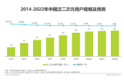 国漫 IP 现状与未来市场：二次元用户规模增长，潜力无限