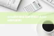 seo提升应该怎样学些什么 (seo提升营销)