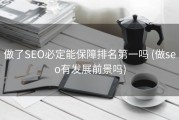 做了SEO必定能保障排名第一吗 (做seo有发展前景吗)