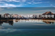 什么样的网站可以下载小说 (哔哩哔哩是一个什么样的网站)